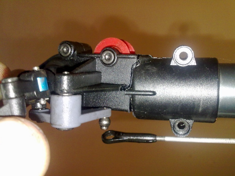 Raptor_10