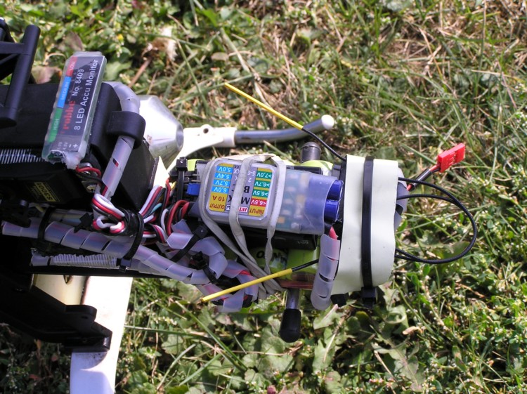 Raptor_7