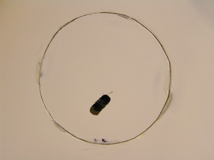 Ion_8