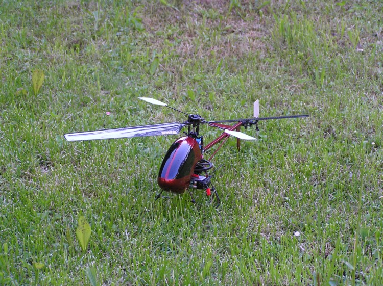 Schweizer_2
