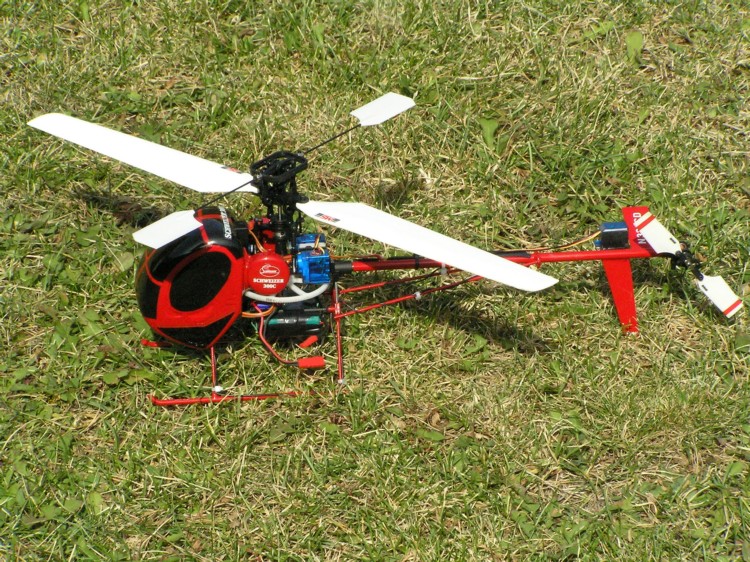 Schweizer_5