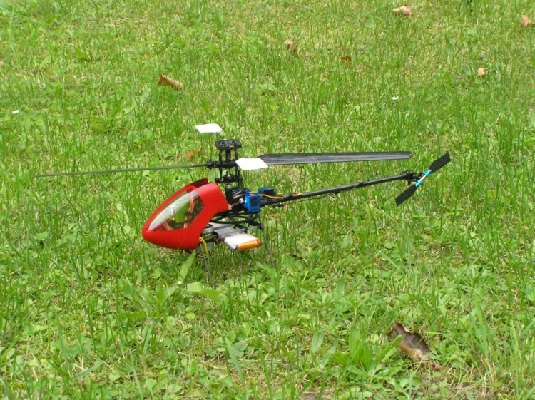 Schweizer_6