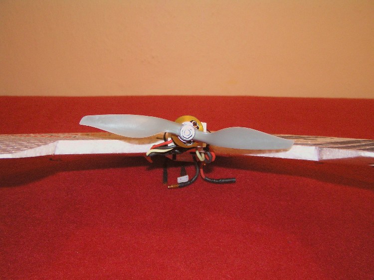 Swift_7